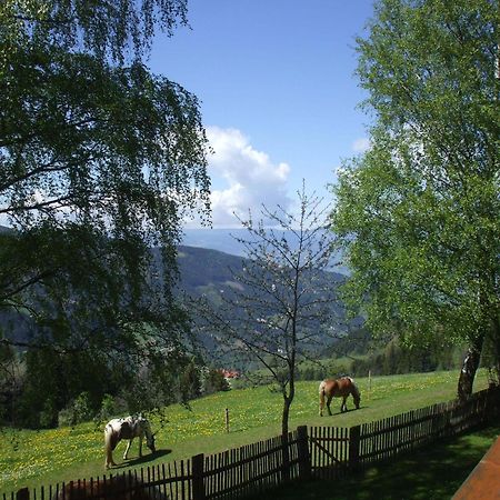Bauernhof Pension Juri Obergosel Экстерьер фото