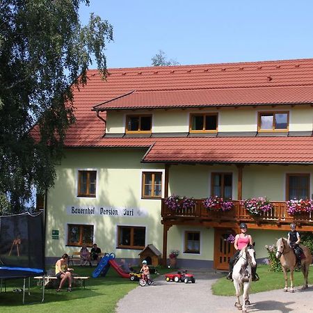 Bauernhof Pension Juri Obergosel Экстерьер фото