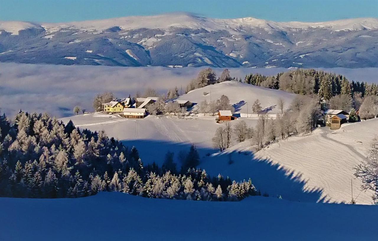 Bauernhof Pension Juri Obergosel Экстерьер фото