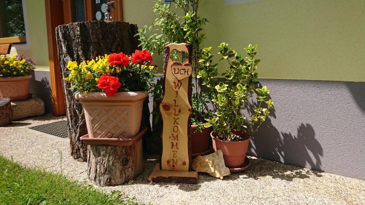 Bauernhof Pension Juri Obergosel Экстерьер фото