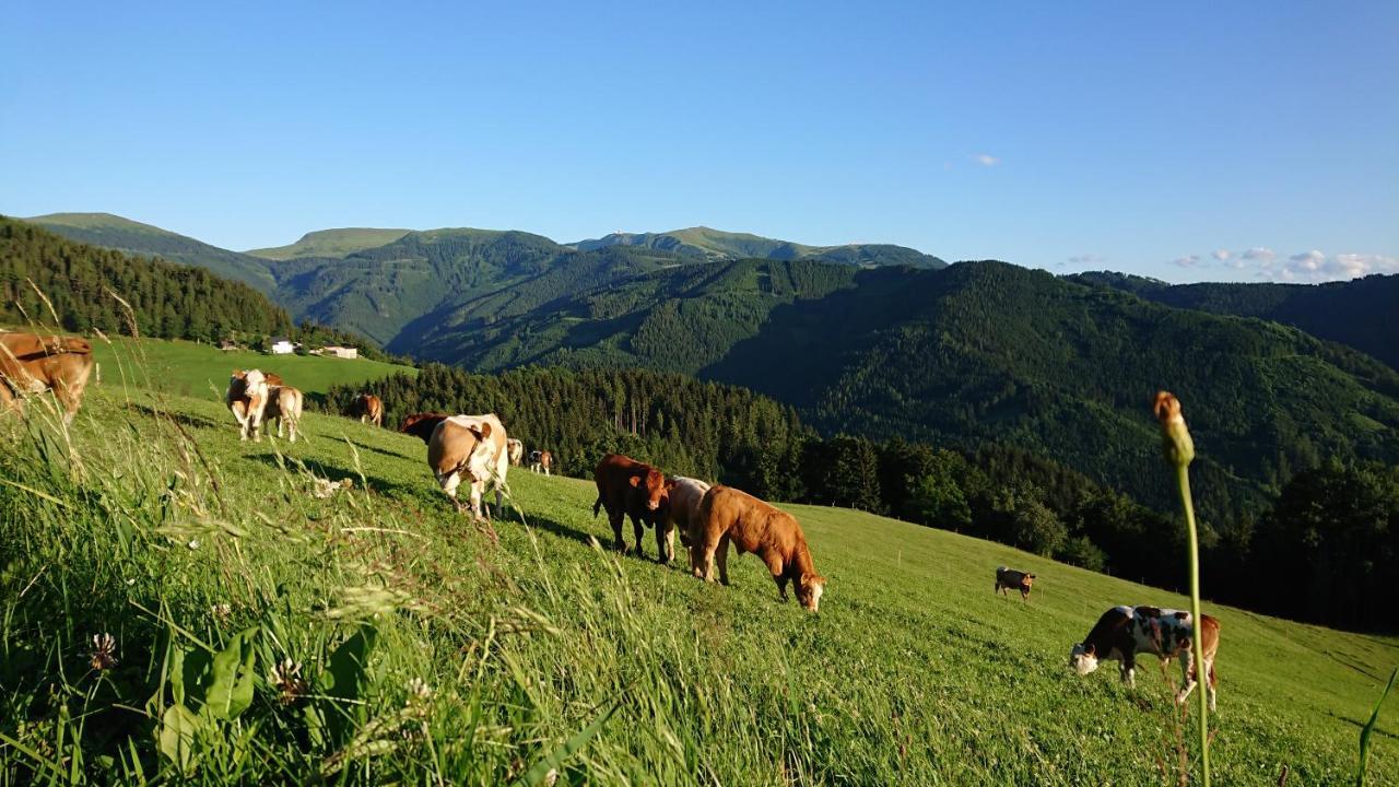 Bauernhof Pension Juri Obergosel Экстерьер фото