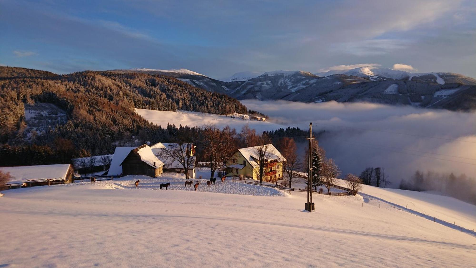 Bauernhof Pension Juri Obergosel Экстерьер фото