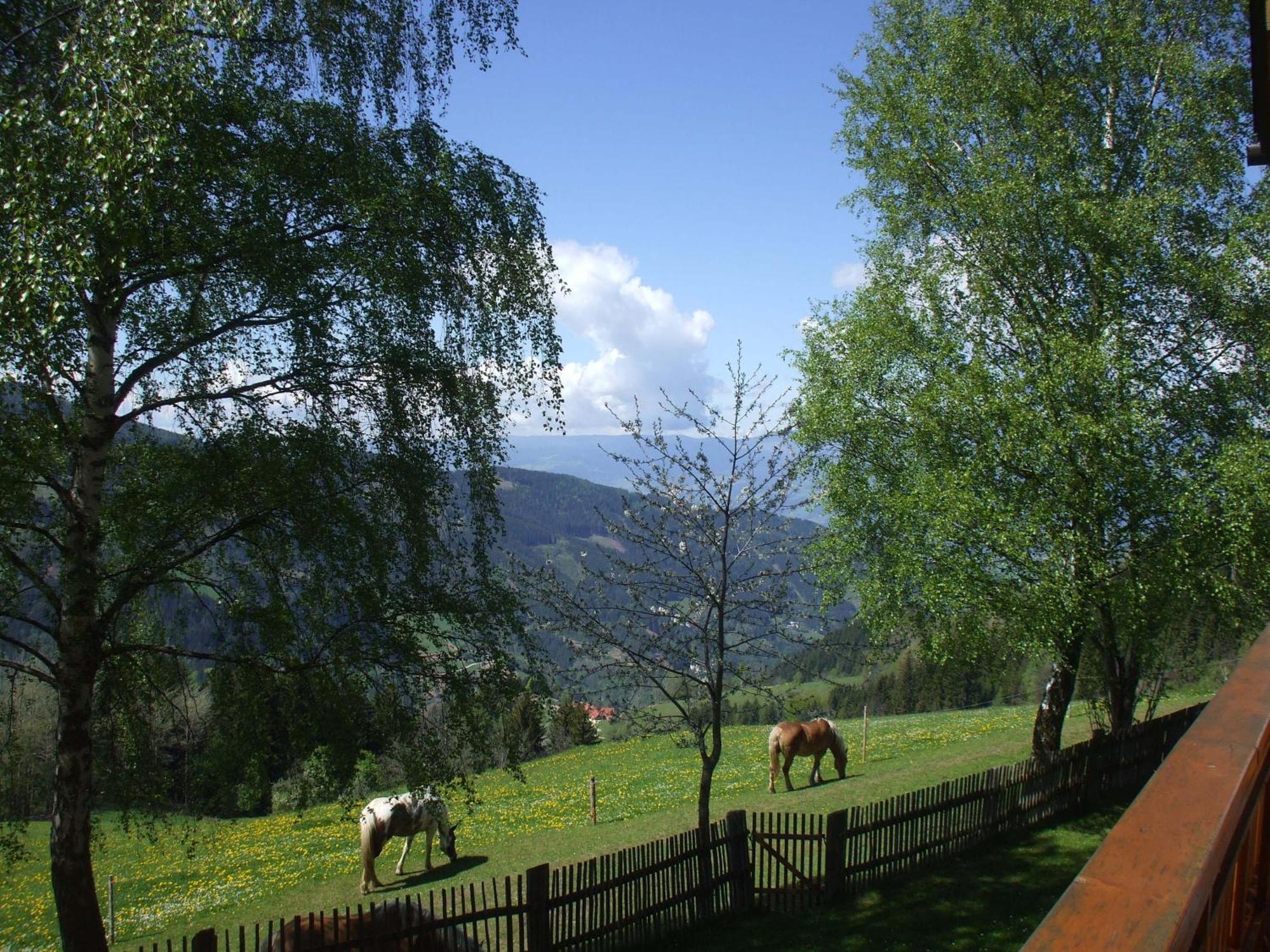 Bauernhof Pension Juri Obergosel Экстерьер фото