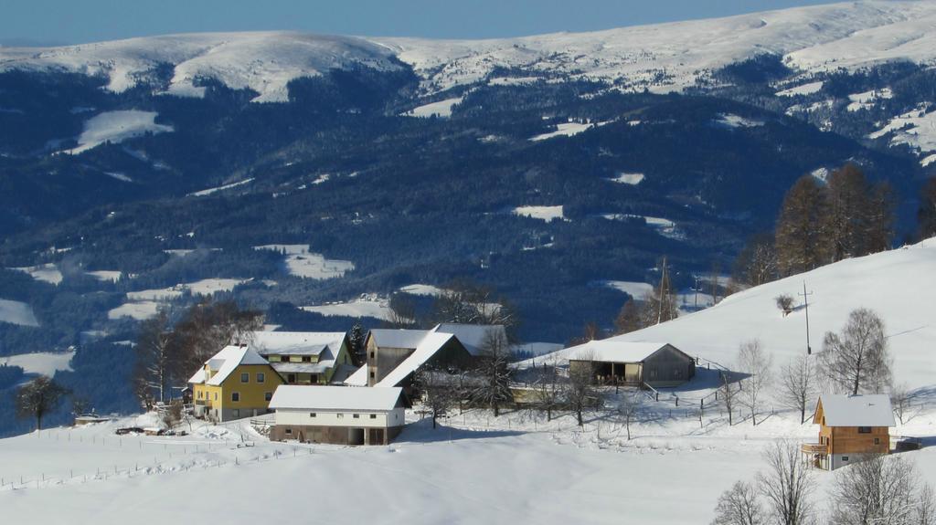 Bauernhof Pension Juri Obergosel Экстерьер фото